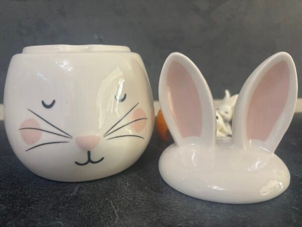 Brûleur à fondant visage  lapin – Image 2