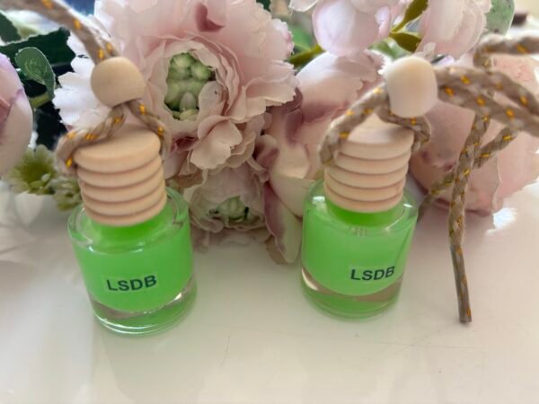 Diffuseur de voiture « Pomme verte 🍏 »